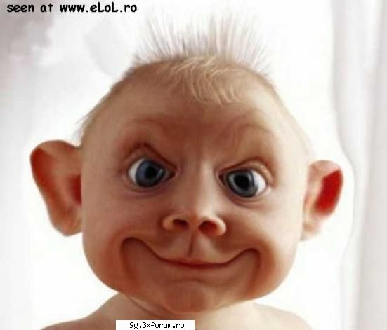 Pareri Despre Diriga - mi se pare o tampenie sa ne interesam noi...in - Forum Demonstrativ